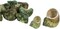 Hermit Crab Shells .75"-1.5" Turbo Shell 12 Pack Green Stenuous Shells